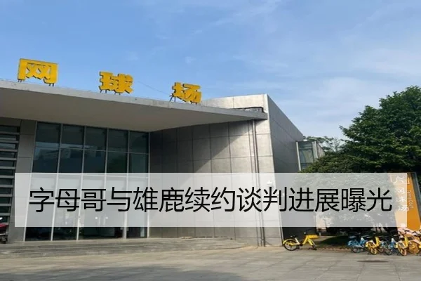 字母哥与雄鹿续约谈判进展曝光
